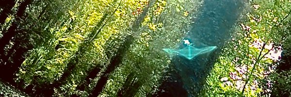 sasanka_iam Profile Banner