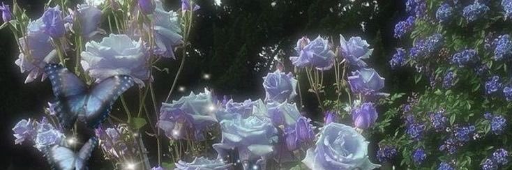 etheralicky's profile banner image