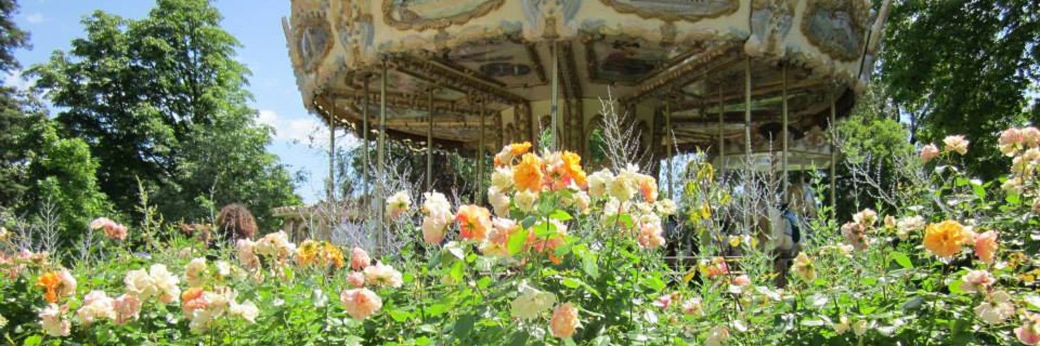 🦋Gianluca Costa banner