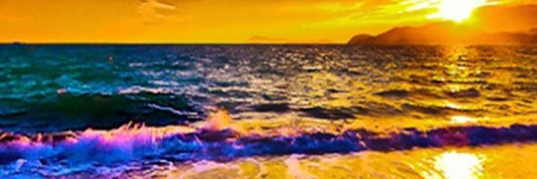 monigonzalez01's profile banner image