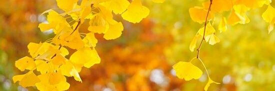 __mrym1126's profile banner image
