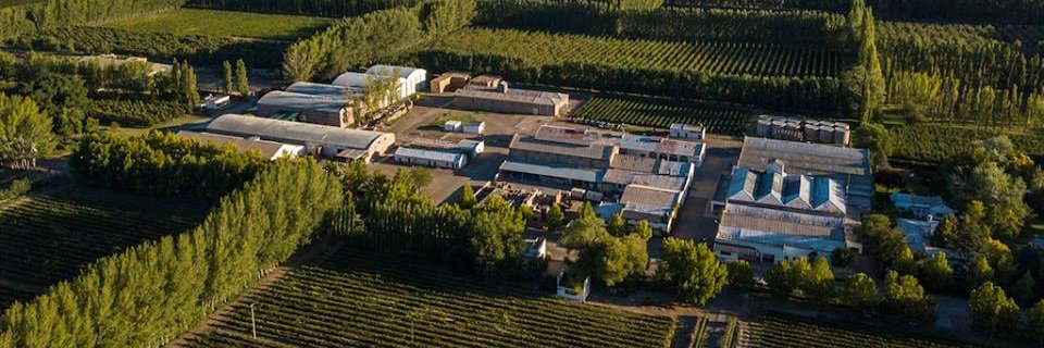 Bodega Humberto Canale banner