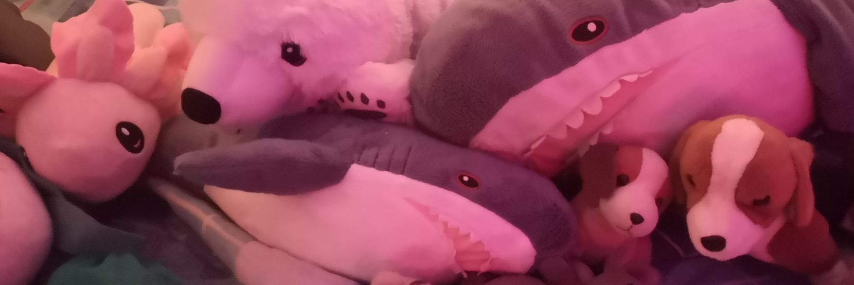 comfytai♥️🖤 (useless) banner
