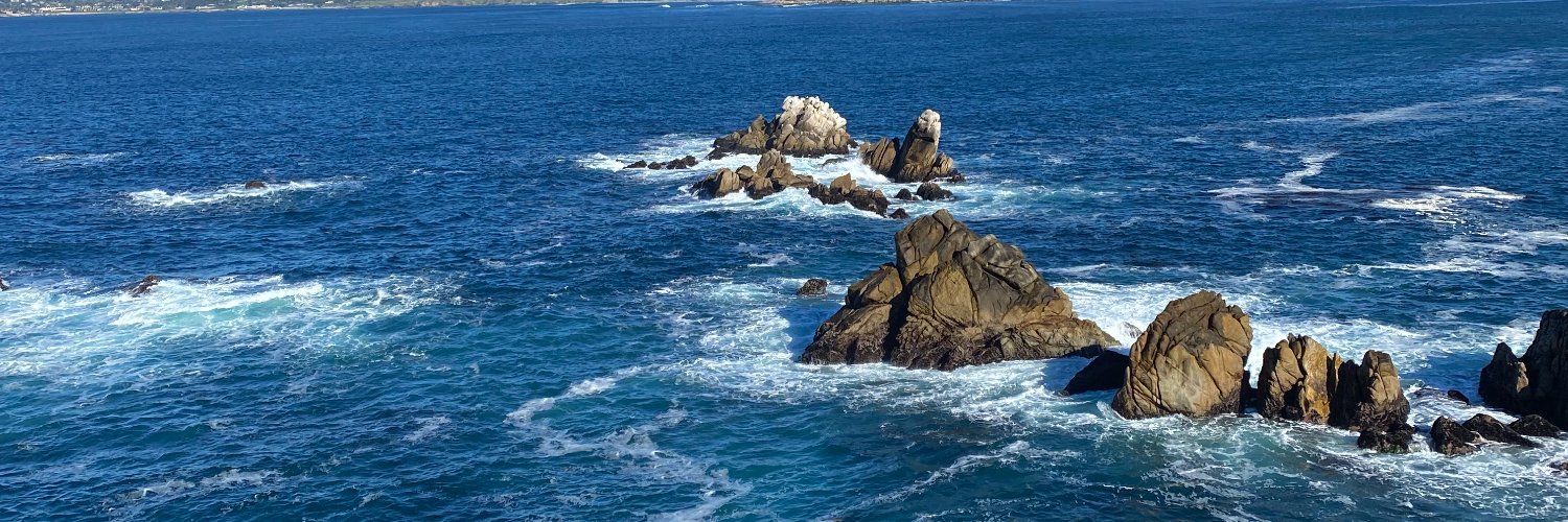 Madeline Walsh banner