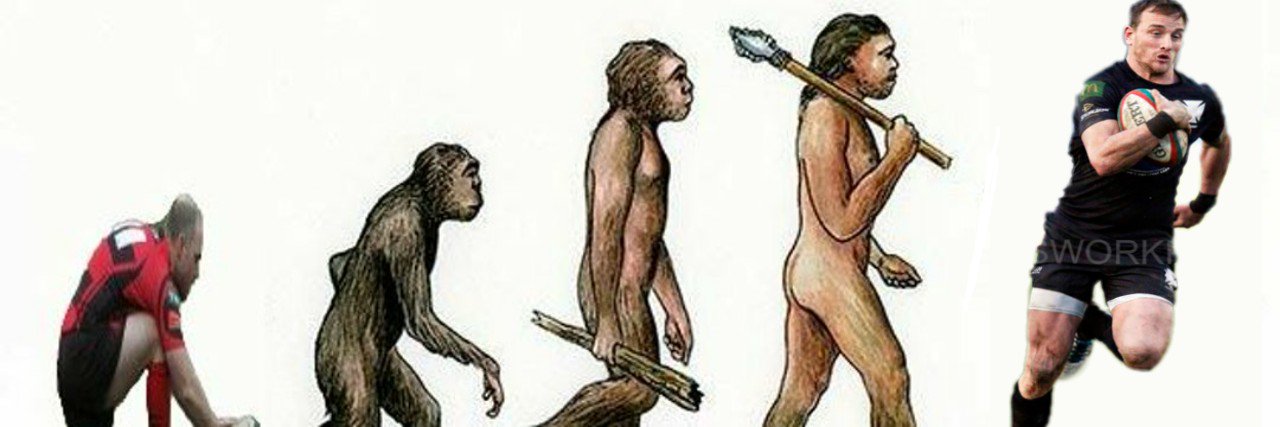 Paul Rapids Johnson banner