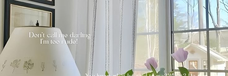 vcetye's profile banner image