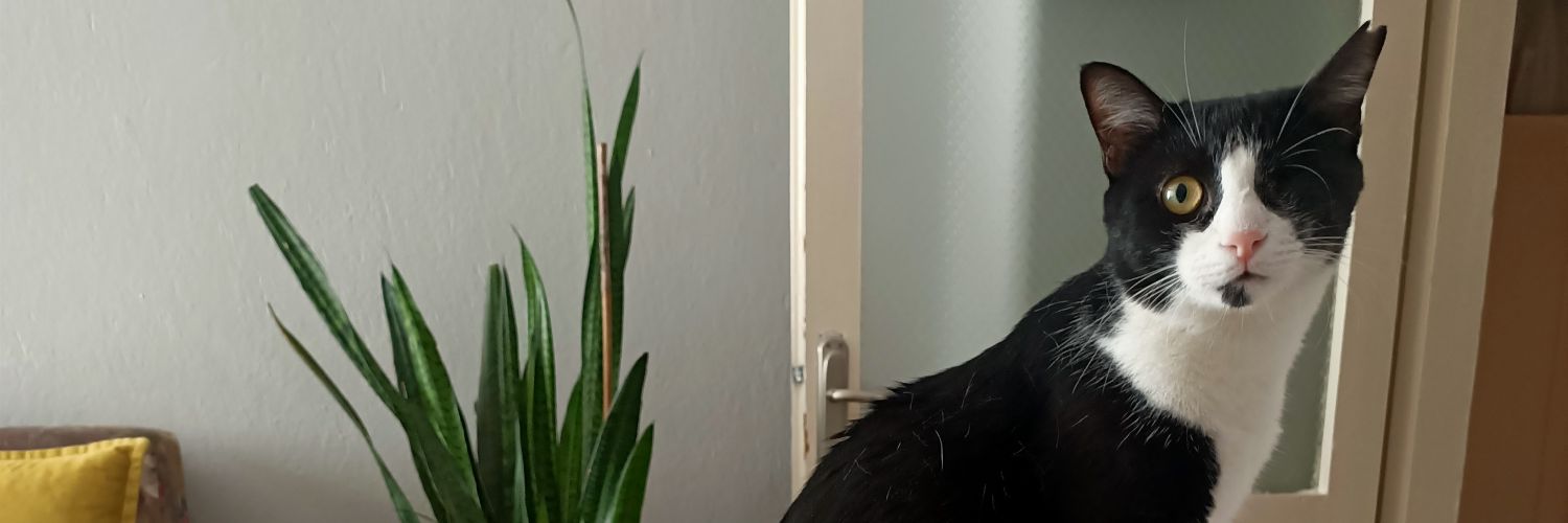 Greengo__'s profile banner image