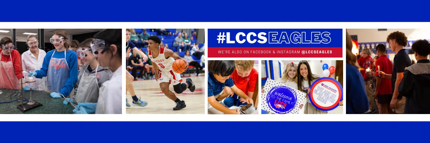 LCCS Eagles banner