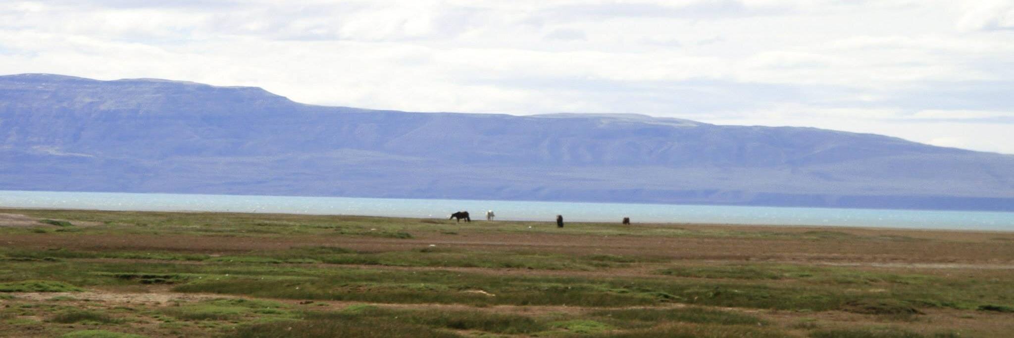 Guilherme Neto banner