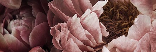 UndrgroundSmile's profile banner image