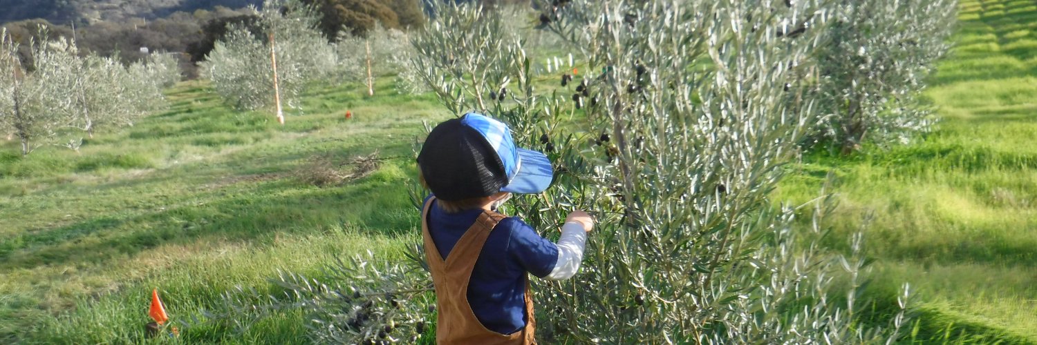 ranchomilagro's profile banner image