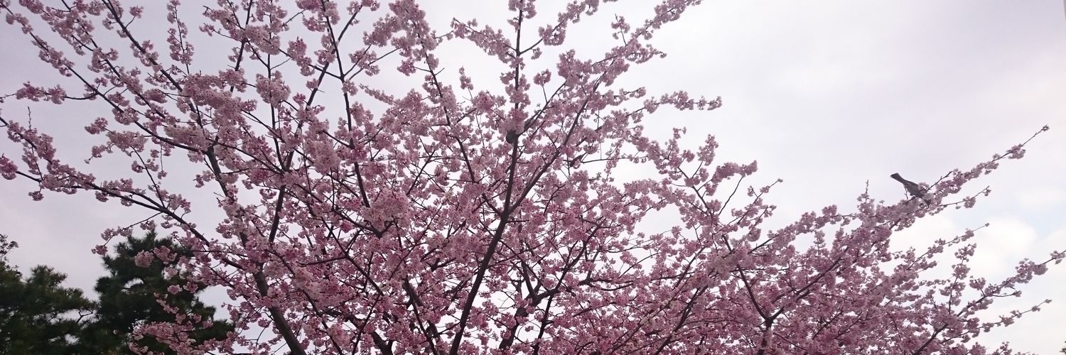 SilentDays_ss's profile banner image