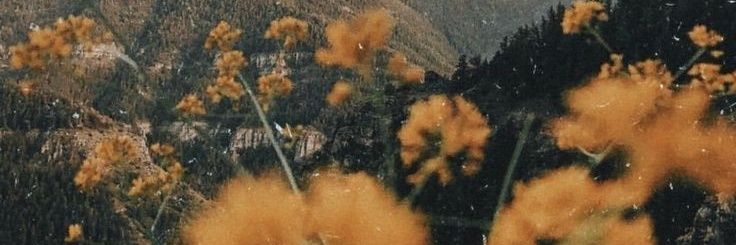 kssedef's profile banner image