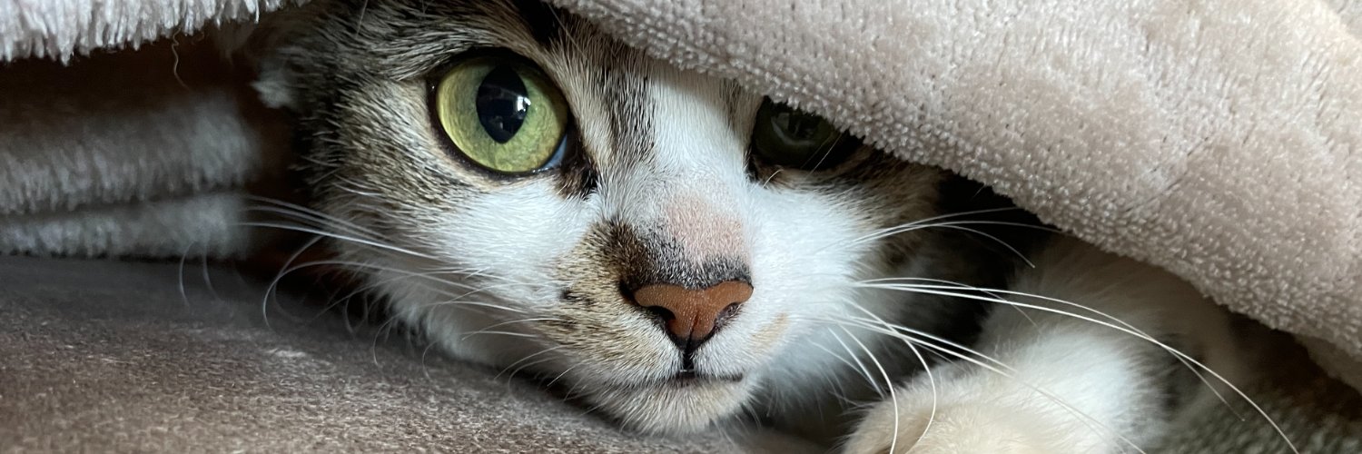 GenXDutchess 🍅 banner