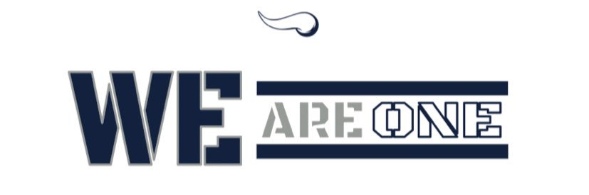 Viking Basketball banner