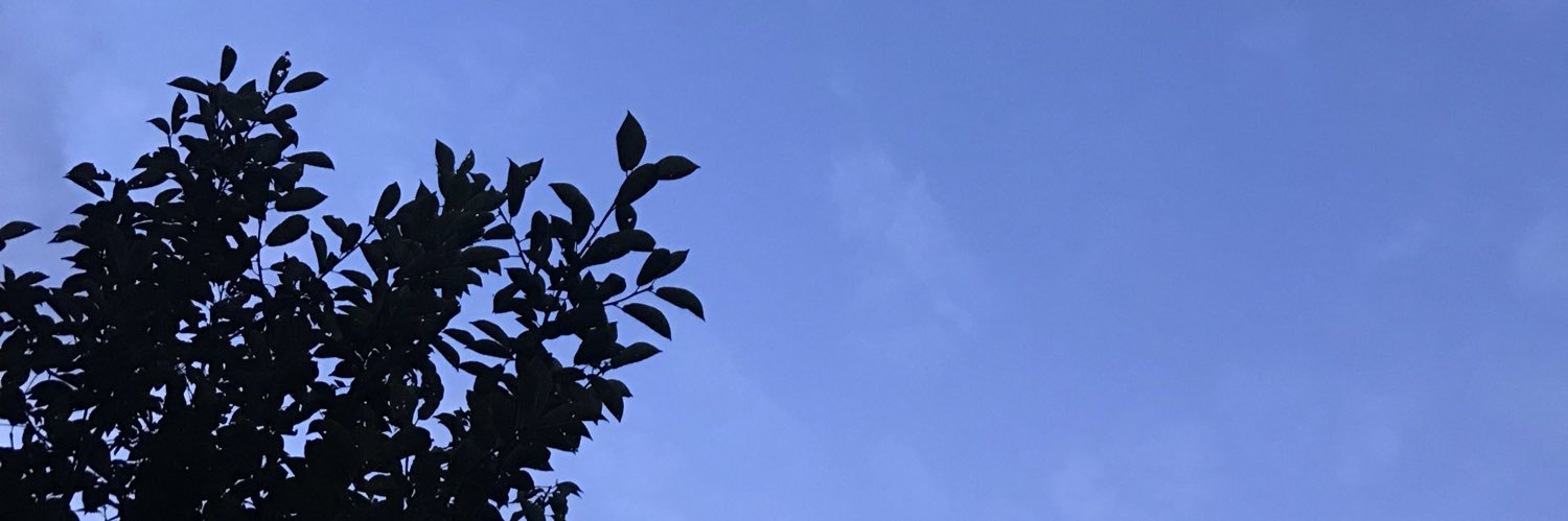 ele_walton's profile banner image