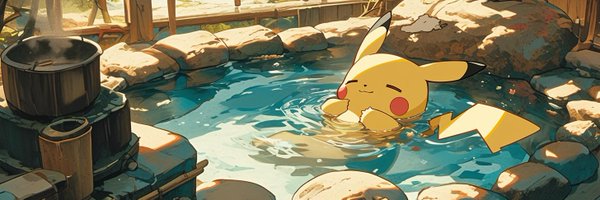 N25X17T Profile Banner