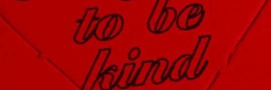 Nina banner
