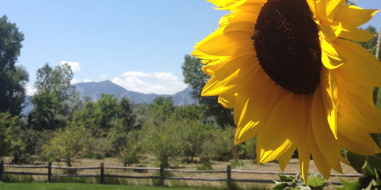 bvsdsped's profile banner image