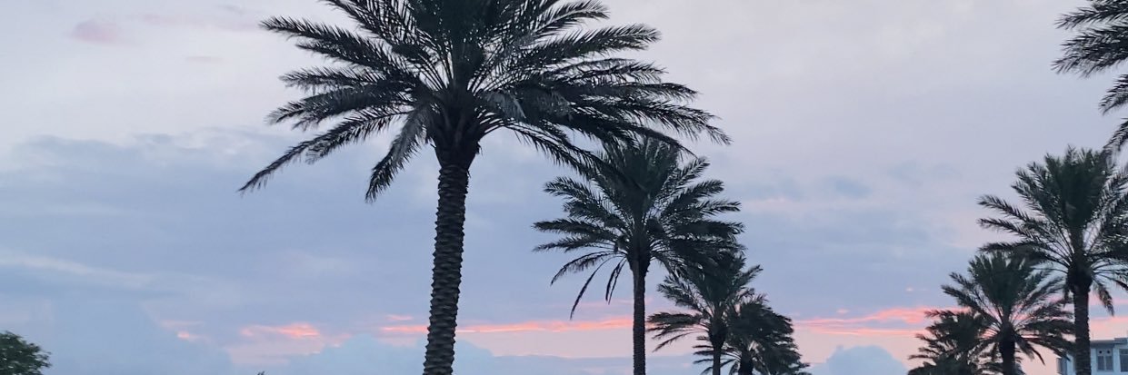 EmilyKatherine8's profile banner image