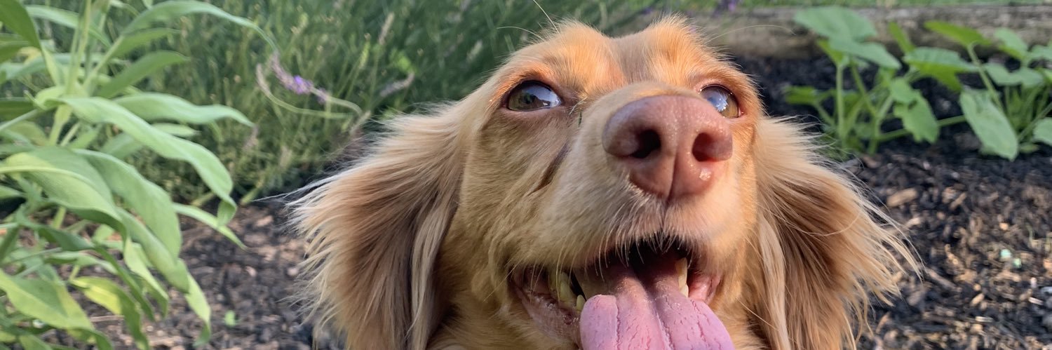 good_am's profile banner image