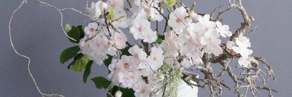akanbiflower Profile Banner