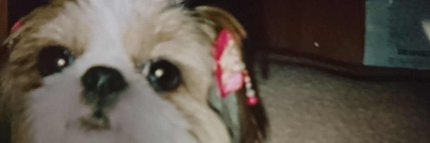 桃 banner
