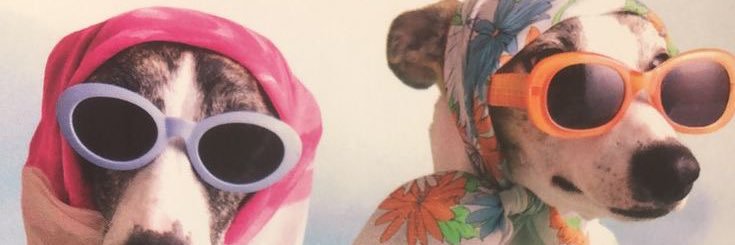 camifava_'s profile banner image