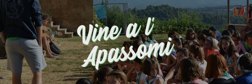 apassomi's profile banner image