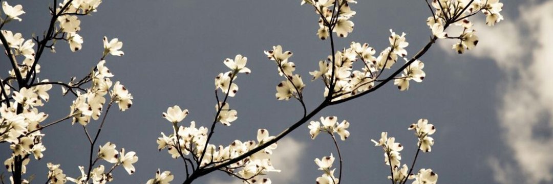 Nadiinegr_'s profile banner image