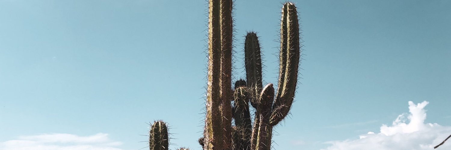 IsabelPpuentes's profile banner image