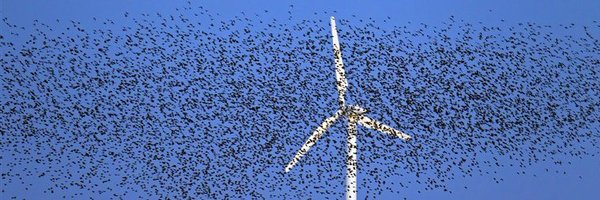 marylanestrow Profile Banner