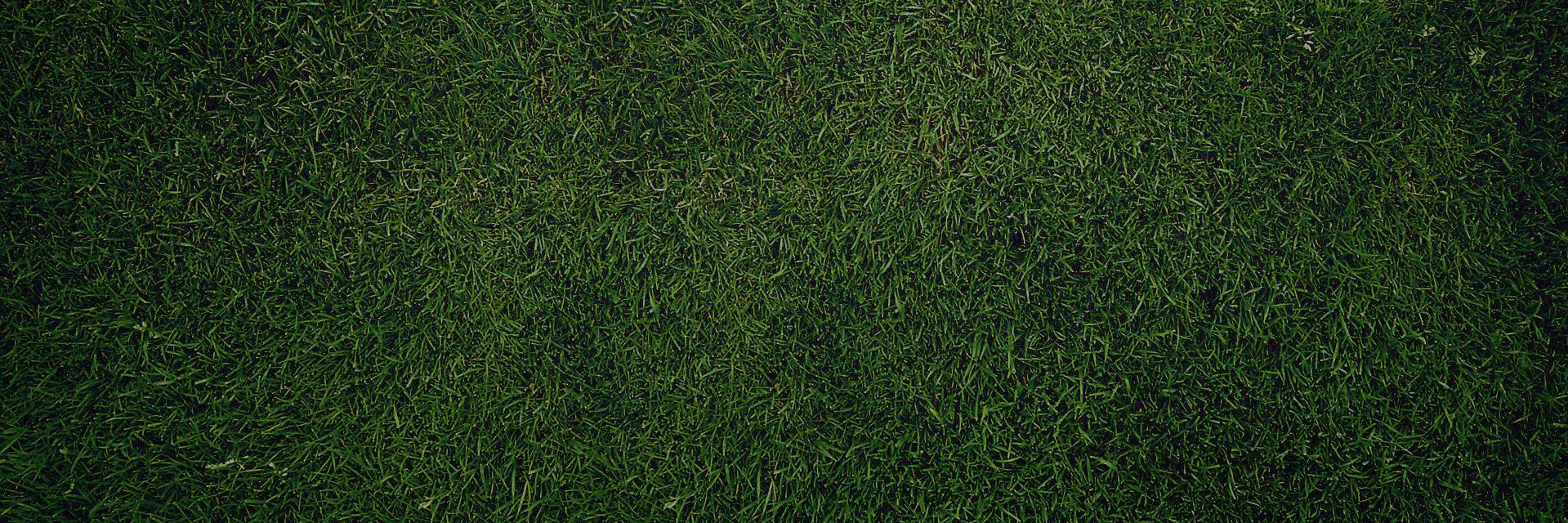 Kevin McGuire banner