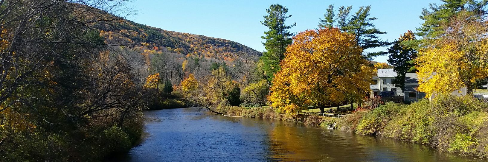 Mark Tuttle, MD banner