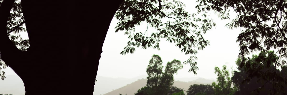 Luchiicx's profile banner image