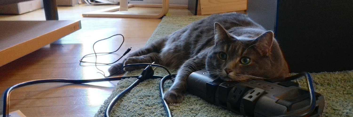 eljojo@ruby.social banner