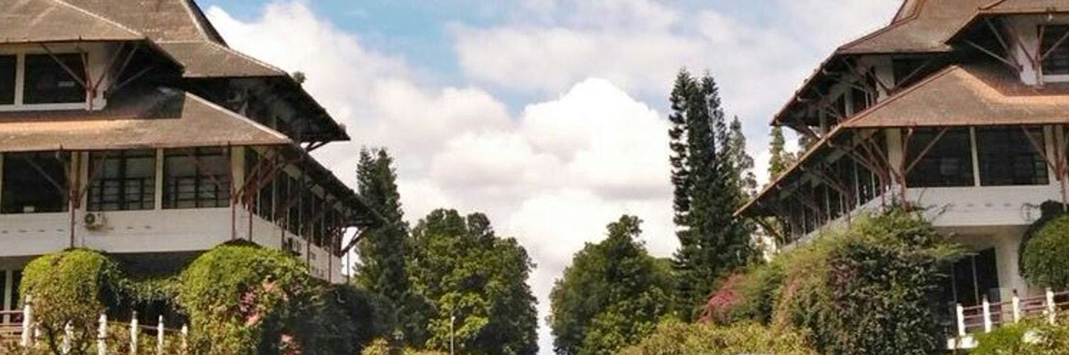 deaenia's profile banner image
