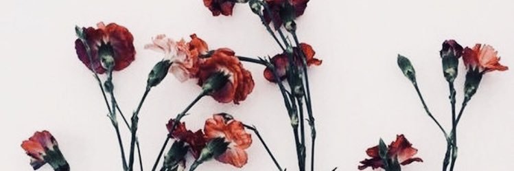 azmura's profile banner image