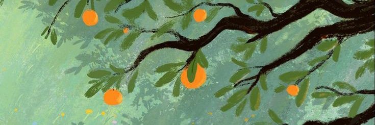 unalunadequeso's profile banner image