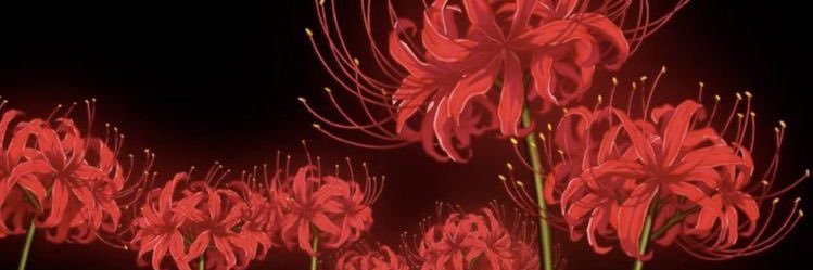 ɬɧơཞŋ🥀🗡️ banner