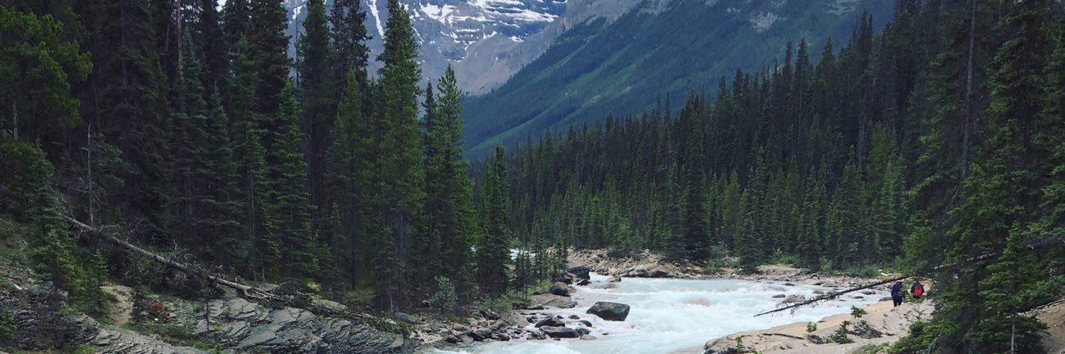 Carol Tonhauser banner