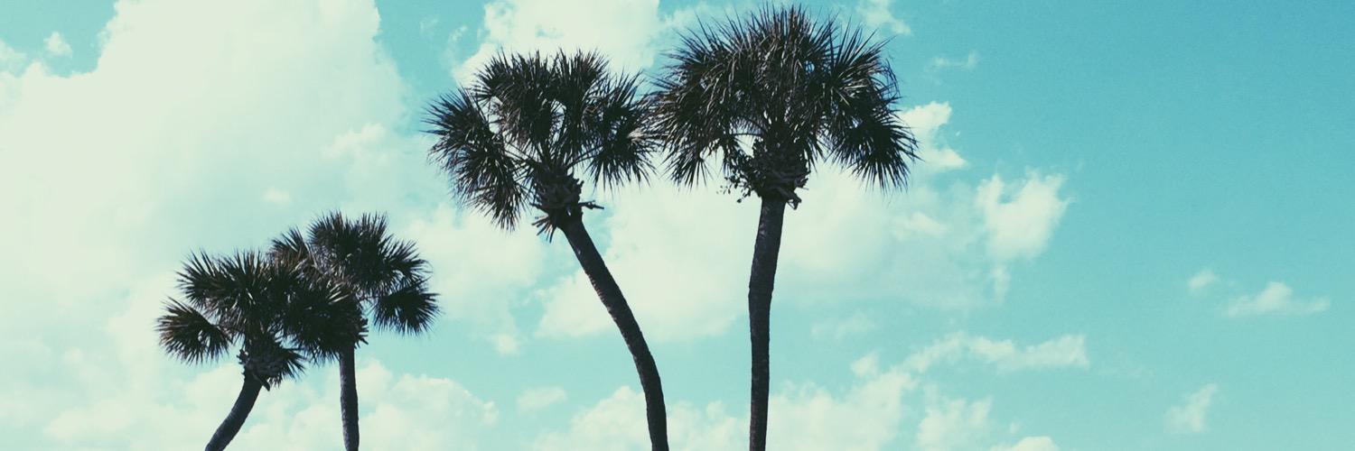 leeiighh's profile banner image