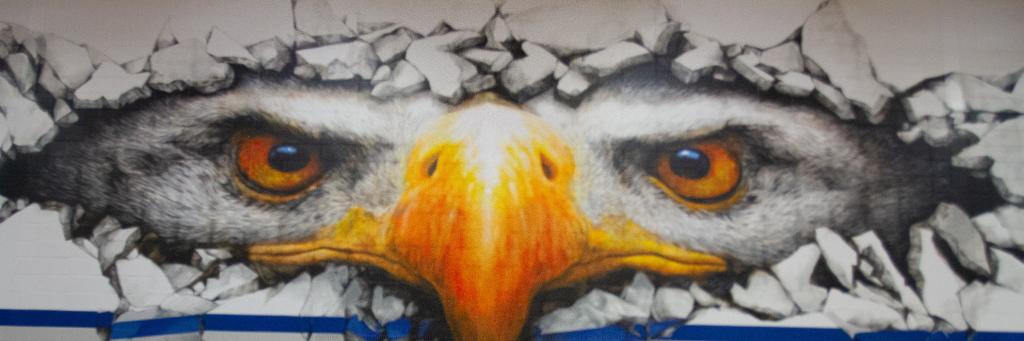 WHS_CCR's profile banner image