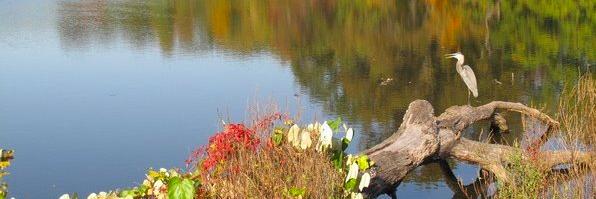 EWindsorPatch's profile banner image