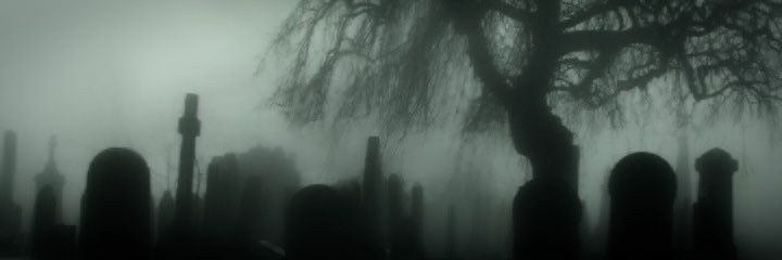 sxtanic_cal0rie's profile banner image