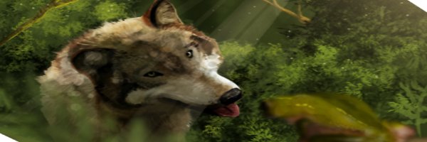 EvenFrogx's profile banner image
