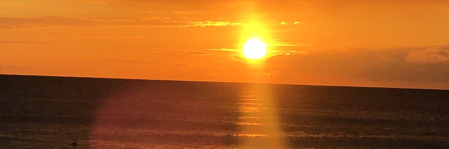 Vito Ghisimberti banner