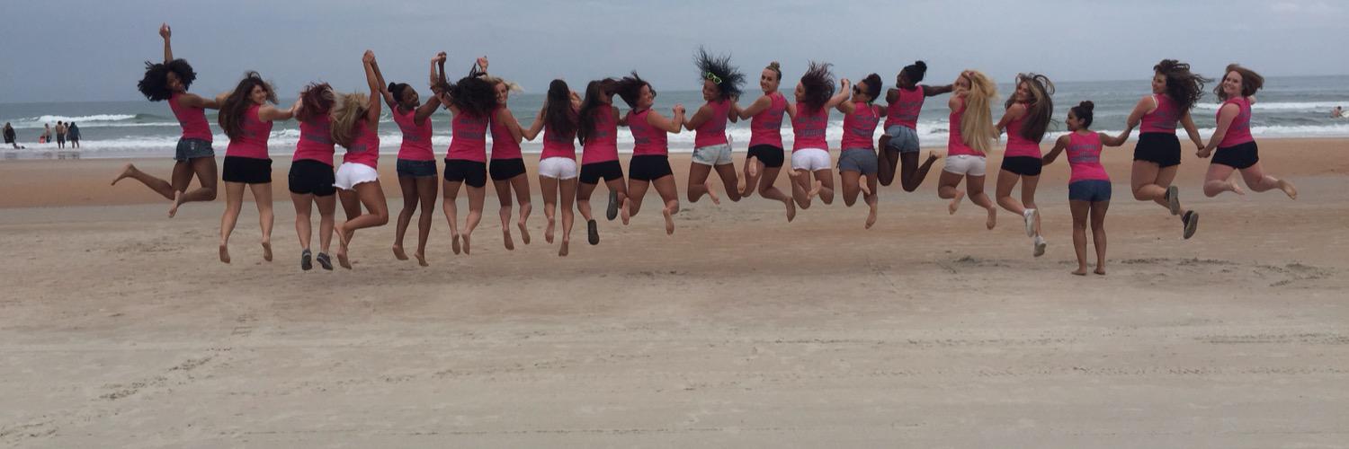 Salisbury Cheer banner