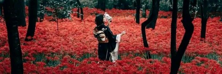 sanka_chan's profile banner image