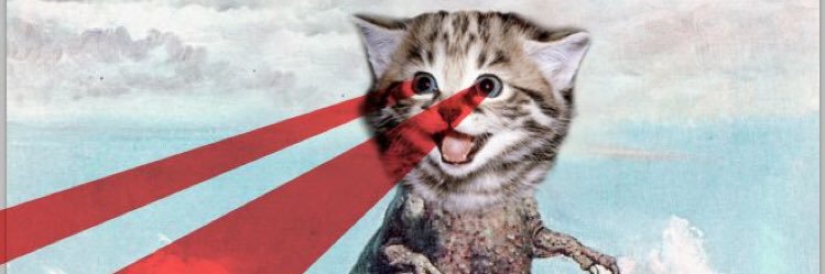 maddlesk's profile banner image